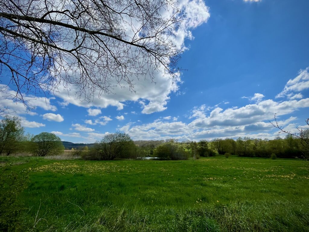 Bogensport in der Natur